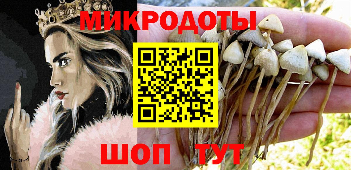 цена наркотик  Вход с VPN  Азов  Галлюциногенные грибы GOLDEN TEACHER 
